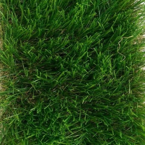 Трава искусственная Tropicana 50 мм