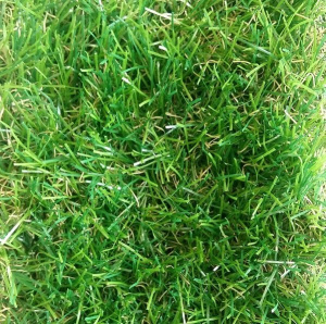 Трава искусственная Tropicana 35 мм
